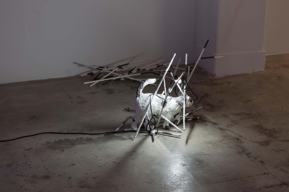 http://www.benjaminkoeder.de/files/gimgs/th-27_z0_DSC4724_v2.jpg